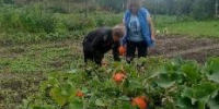 Благотворительная помощь на грядках - Центр соцобслуживания