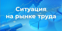 Пресс-релиз о ситуации на рынке труда города Мончегорска за январь - август 2026 года - Город Мончегорск