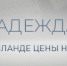 Amurlife - Amur.Life