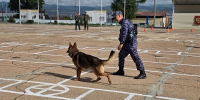 Сотрудники следственного изолятора № 1 познакомили детей военнослужащих с профессией инструктора-кинолога - УФСИН