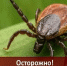 Фото: МАКС-канал Управления Роспотребнадзора Краснодарского края - НИА-Кубань