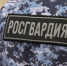 Под руководством директора Росгвардии прошло межведомственное командно-штабное учение - ГТРК Татарстан