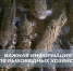 Важная информация для рыбоводных хозяйств! - Управление ветеринарии
