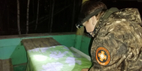 Пропавшего единственного жителя костромского поселка ищут в Кировской области - ProGorod.Ru
