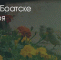 Поделитья во ВКонтакте - Братская Студия Телевидения