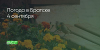 Поделитья во ВКонтакте - Братская Студия Телевидения