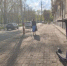 В Ульяновске утвердили порядок работы с брошенными электросамокатами - Ульяновск сегодня