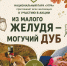 Стартовала акция национального парка «Угра» «Из малого желудя – могучий дуб» - Газета Козельск