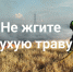 Сжигание сухой травы часто становится причиной пожаров - Шемышейский район