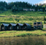 глэмпинг, природа, туризм - V-Kurse.Ru