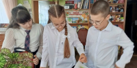 В Мервине проведена акция «Встречаем вместе школьный год» - Управление культуры