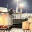 В Новороссийске докера оштрафовали за травму коллеги - Газета Новороссийский рабочий
