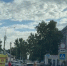 В Воронежской области 12-летний подросток на электросамокате попал под колеса KIA - РИА Воронеж - Павловск