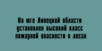 В южных районах Липецкой области сейчас высокая угроза лесных пожаров - Народное слово