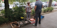 В Волжском пресекают несанкционированную торговлю молочными продуктами - Администрация г. Волжский