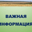 Как получить меры социальной поддержки, если в многодетной семье есть студент?. - Александровский муниципальный округ