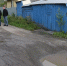 В кемеровской деревне приведут в порядок дорогу после обращения жителей - Газета Комсомольская правда