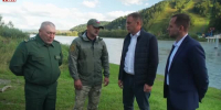Видео - ТВН