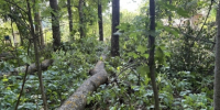 Фото: https://penza.sledcom.ru - Penza-Post.Ru