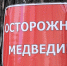 13 хищников за месяц: в Абазе медведи выходят к жилым домам - Республиканская телевизионная сеть
