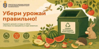 Осень — время сбора урожая плодовых фруктов и бахчевых культур - Павлово-Посадский район