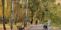 Нижний Новгород может стать  Семейной столицы России  - фото 1 - vGorodeN.Ru