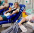Брянские налоговики за один день сдали 63 дозы крови - Газета Брянские новости