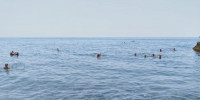 Пляжи без толп, цены ниже, чем в Сочи, и чистое море — нашёл 5 лучших курортов: хиты бархатного сезона-2026 - Progorod33.Ru