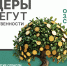 Лидеры не бегут от ответственности - Центр оказания услуг Мой Бизнес