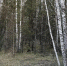 На 14 000 га ульяновских сельхозземель нашли нарушения - Комсомольская правда