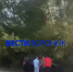Появились подробности ДТП с перевёрнутом при выезде из Воронежа авто - ГТРК Воронеж