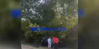 Появились подробности ДТП с перевёрнутом при выезде из Воронежа авто - ГТРК Воронеж