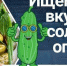 Фото: Фонд - Вологда-поиск