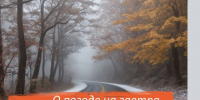 Туман и прочие неприятности ожидают нас завтра - Камская новь