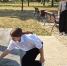 Помнить, чтобы жить в мире … - Администрация города Свердловска и Свердловского района