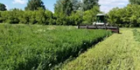 В Башкирии началась заготовка силоса - Башинформ