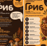От "Турбомоды" до чипсанисток: фестиваль "Гриб" удивит сыктывкарцев в эти выходные - ИА Комиинформ