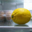 Лимоны даже спустя неделю как свежие: 3 способа сохранить их вкус и аромат - Pro Город Ухта