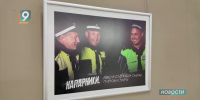 «Безопасность в объективе»: в Старом Осколе открылась фотовыставка, посвящённая службе инспекторов ГАИ - 9 Канал Старый Оскол