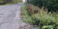 Дорога в Роговое. Участок 1 - Скат Инфо