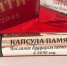 На Ставрополье в Будённовске заложили «Капсулу времени» с посланием потомкам - Комсомольская Правда
