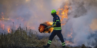 Воронежцам напомнили об угрозе лесных пожаров из-за жары и сухой погоды - ВестиПК в Воронеже
