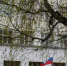Череповец-Поиск - Cher-Poisk.Ru