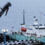 профессор молчанов - ИА Nord-News.Ru