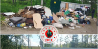В Отрадном выявили несколько несанкционированных свалок - 47Channel.Ru
