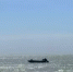 Замор рыбы завершился в Азовском море - Azov.DonDay.Ru