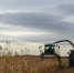 IMG 20260903 235732 106 - Газета Таврические новости
