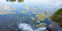 Липецкий водоканал оштрафовали на 220 тысяч за сброс сточных вод в реку Воронеж - ВестиПК в Воронеже