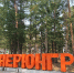 IMG_20240820_131752 - NeruLife.Ru