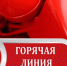 Проводим "горячую линию"! - Министерство лесного хозяйства